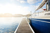 Spider Control 101: Step-by-Step Guide to Clearing Spiders from Your Boat Dock
