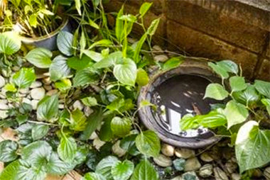 mosquitonix.com
