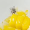 MosquitoNix services reduce fly populations | residential | commercial