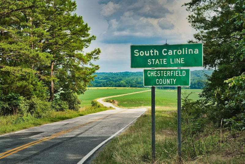 Asian Tiger Mosquito Brings Danger to South Carolina