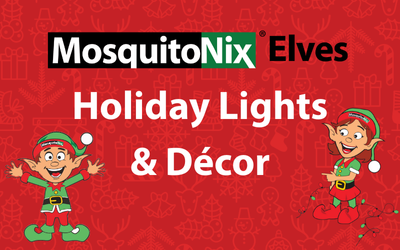 Holiday Lights & Décor by MosquitoNix – Frequently Asked Questions