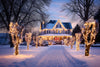 Tips for Hanging Your Own Outdoor Christmas Lights