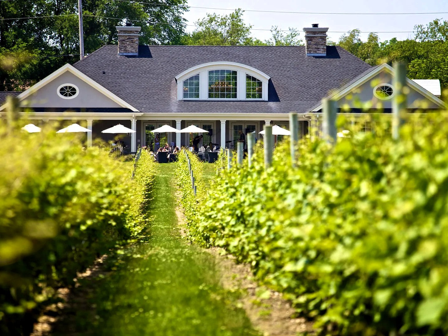 Long Island, Enjoy Your Outdoor Spaces Again with MosquitoNix: No Chemicals, Just Results