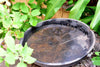 2024 Dallas Record Rainfall: Increase in Mosquitos After Rain