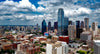 Navigating Dallas's Pest Landscape: A Seasonal Guide