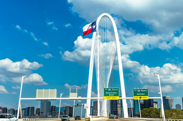 North Texas Insects and Rodents - MosquitoNix®