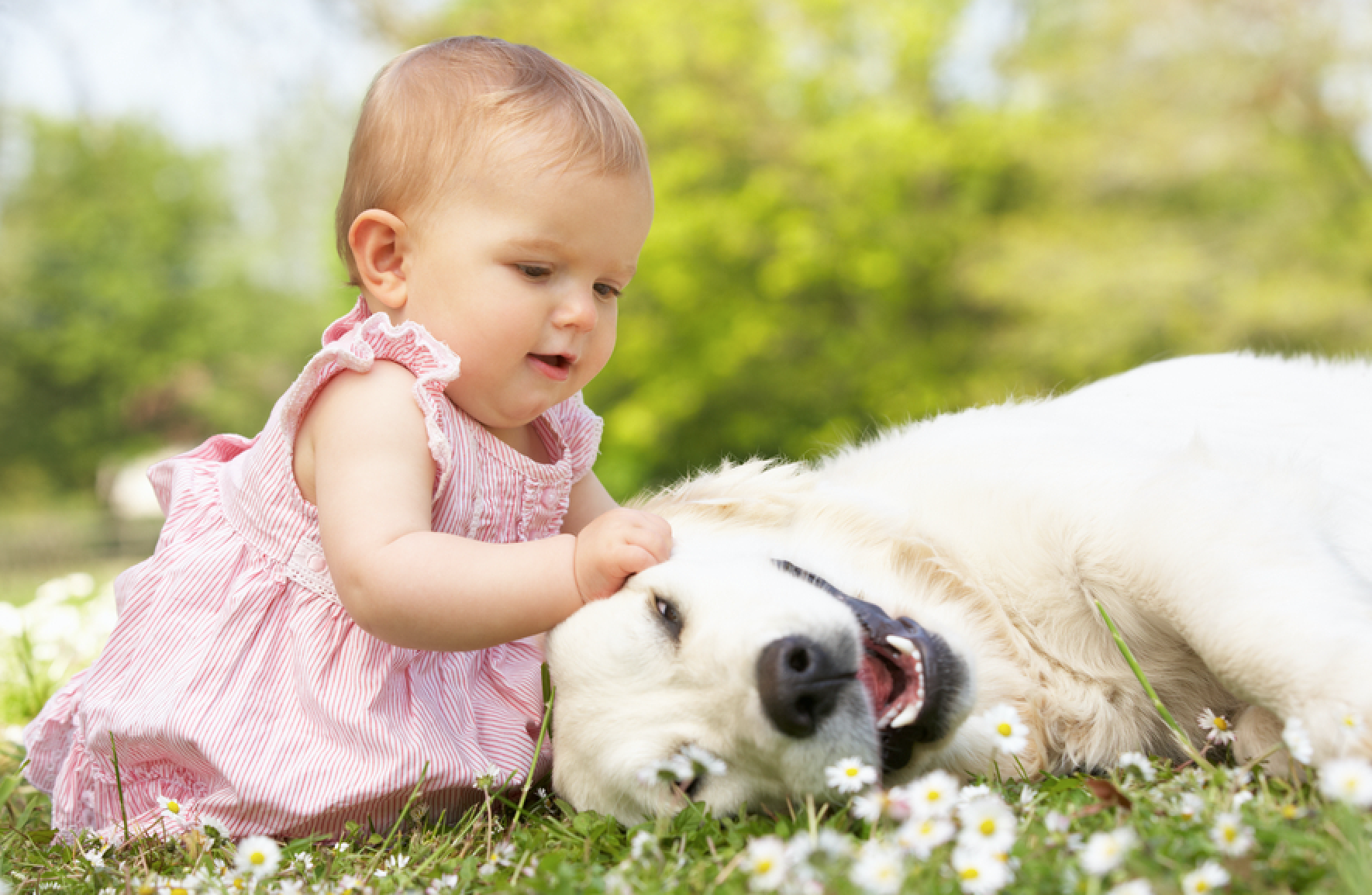 Introducing Our New All-Natural Mosquito Control Solution