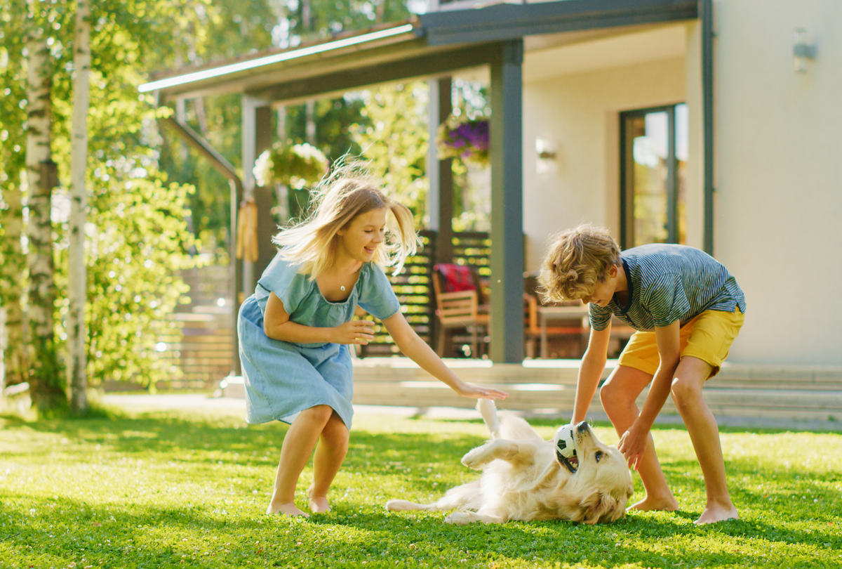 Can Pets & Kids Have Fun In The Yard Right After A Mosquito Treatment? What Every Long Island Family Should Know