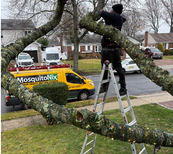 Professional Holiday Light Installation in Syosset, NY