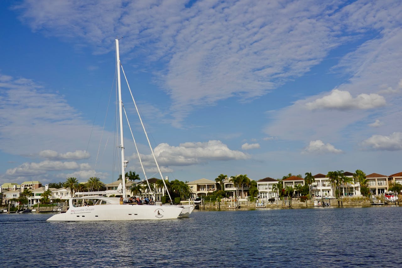 Tampa Bay's Tropical Threat: Common Pests and How to Combat Them