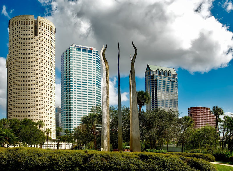 Tampa, FL | When Is Peak Mosquito Season