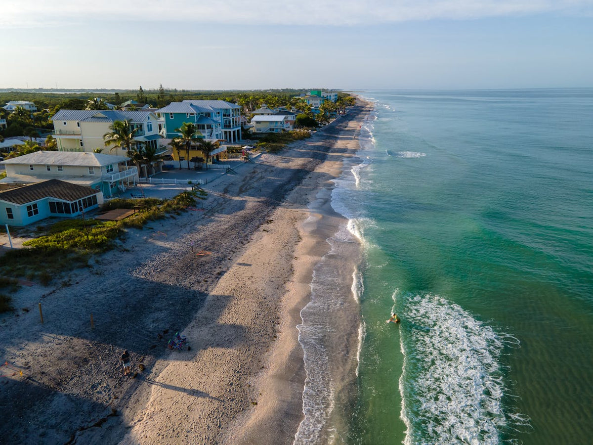 The Sunshine State's Silent Threat: Common Pests on Florida's West Coast