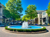 Treating for Pests Near Freshwater Systems in Raleigh