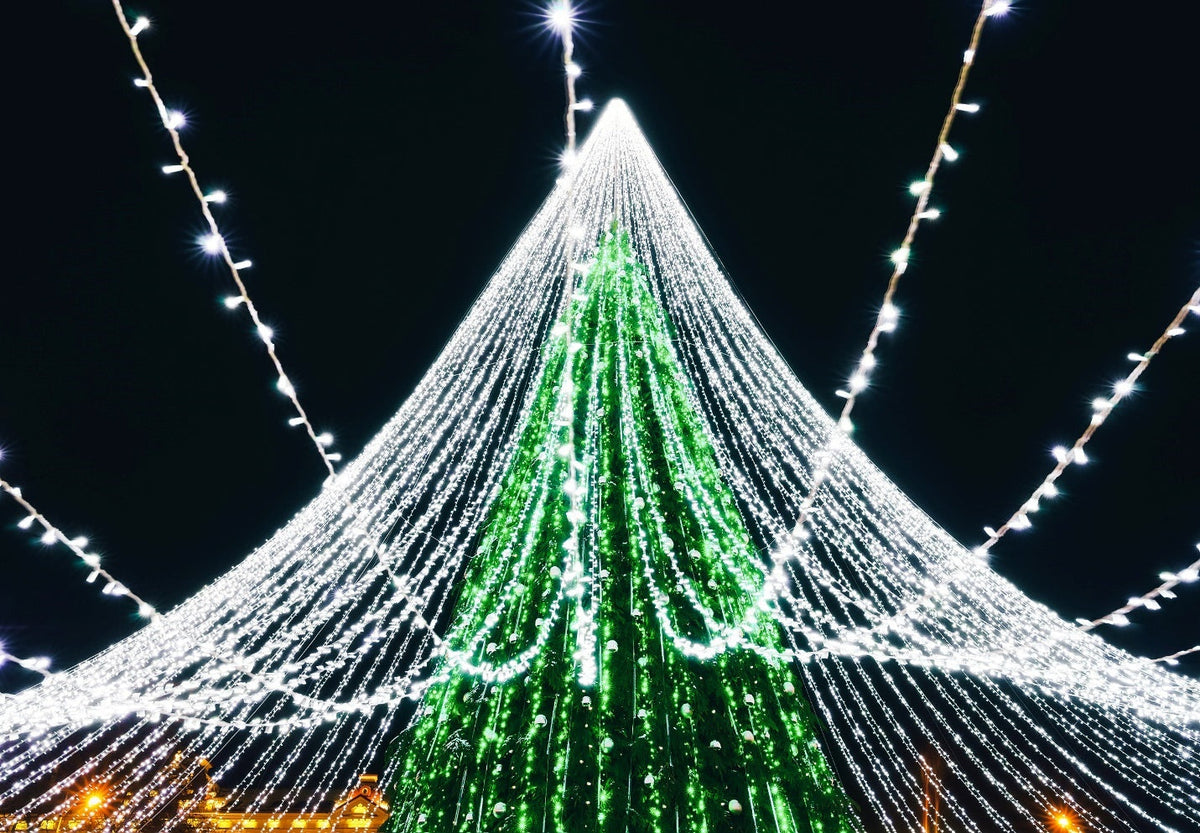 Christmas Lights in Dallas, TX: Where to See Holiday Light Displays in 2026