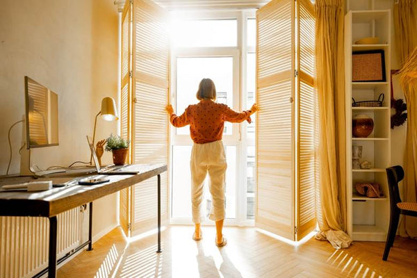 Bug Proofing Your Apartment Tips For Keeping Insects At Bay Mosquitonix