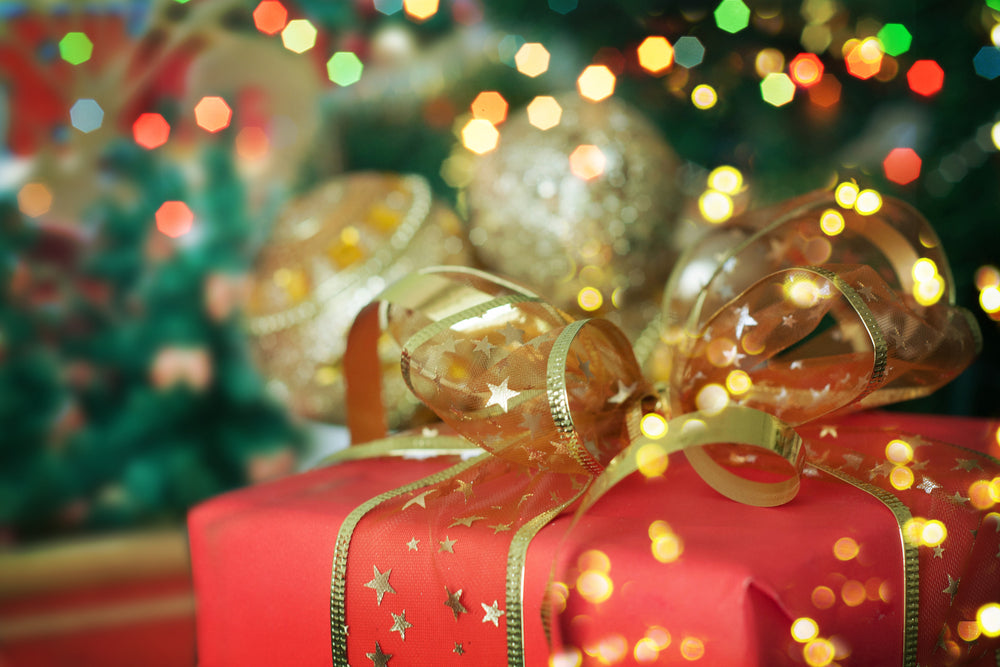 Give the gift of Professional Holiday Lighting from the MosquitoNix Elves