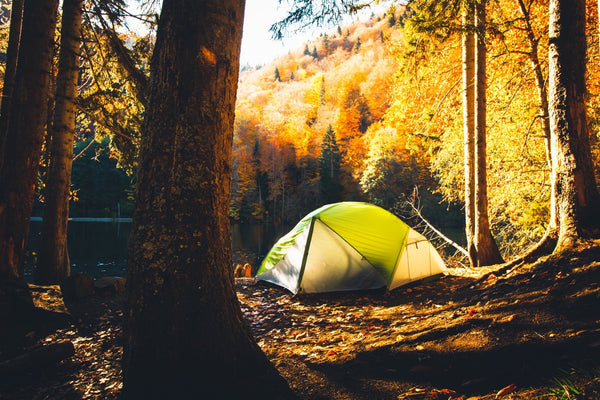 How to Help Keep Bugs Away While Camping - MosquitoNix®