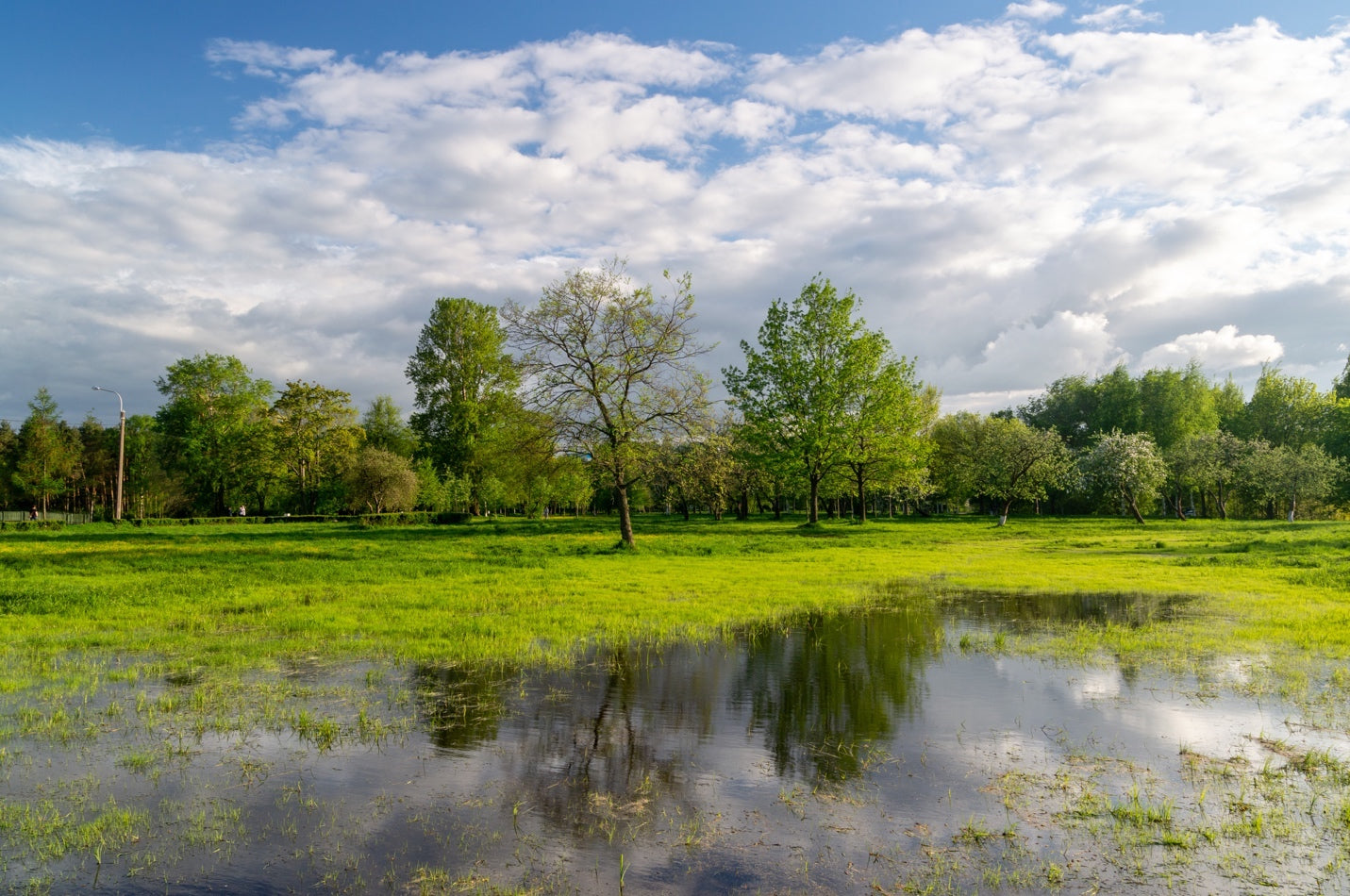 What Attracts No See Ums This Common Mistake Is Inviting Them In - oomqvso