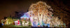 Holiday Light Inspiration