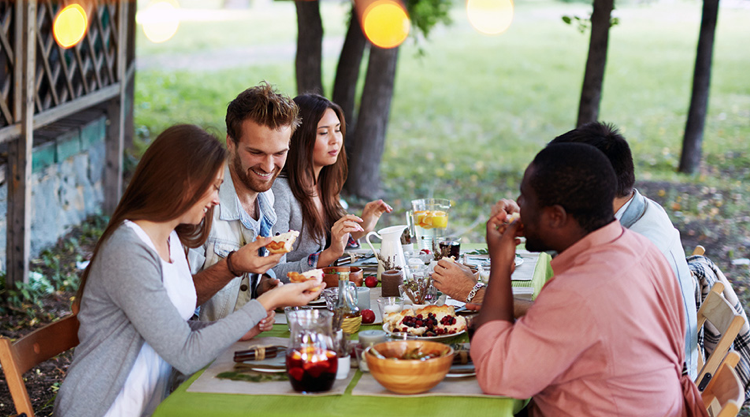 Eliminate Mosquitos from Outdoor Events – MosquitoNix