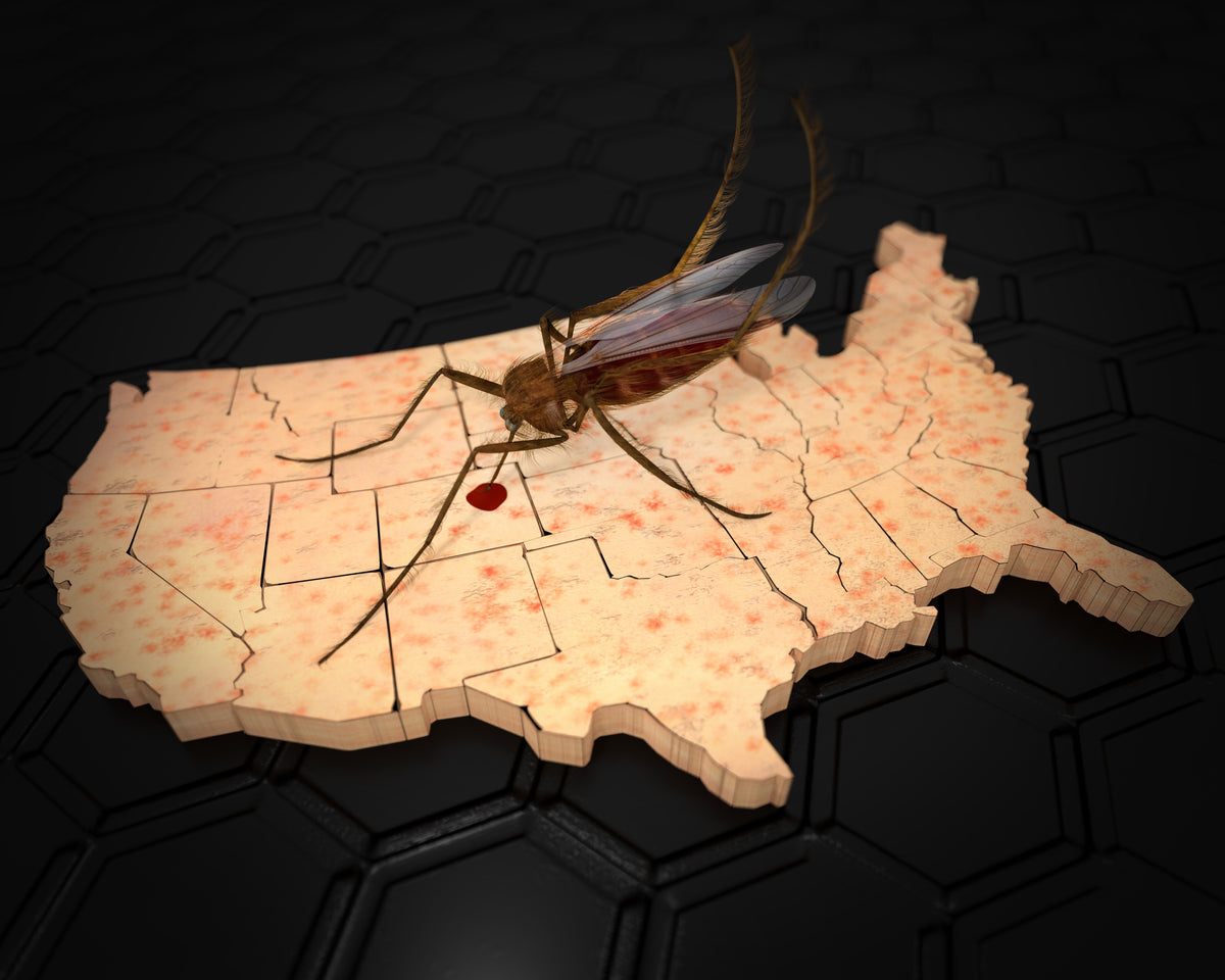 The Top 50 Cities with the Most Mosquitoes MosquitoNix®