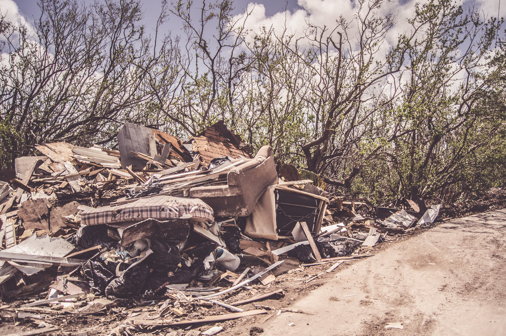 How to Deal with Mosquitos After Recent Hurricane Season