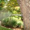 MosquitoNix Custom Misting Systems Control Mosquitos at your home