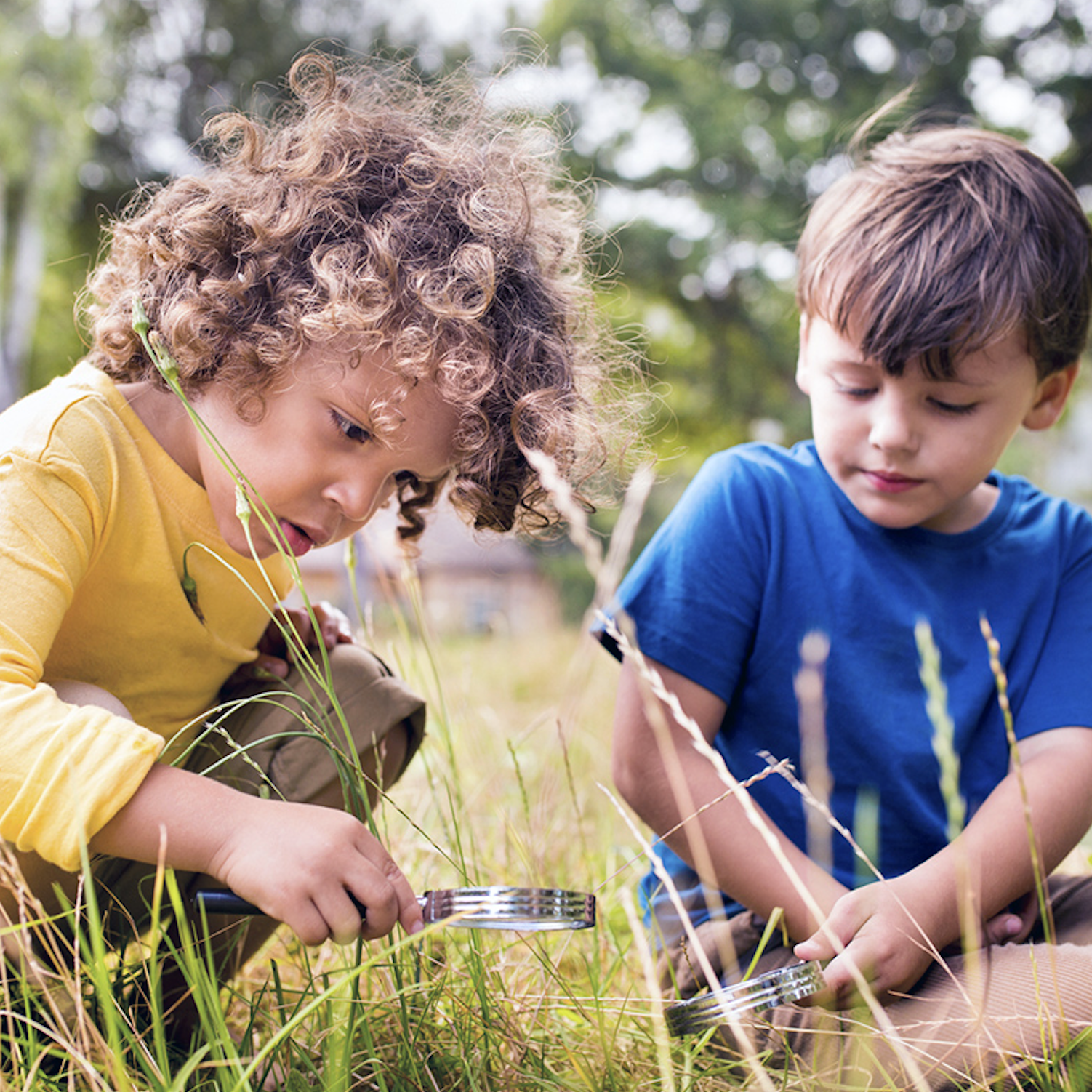 Fire Ant Control Solutions