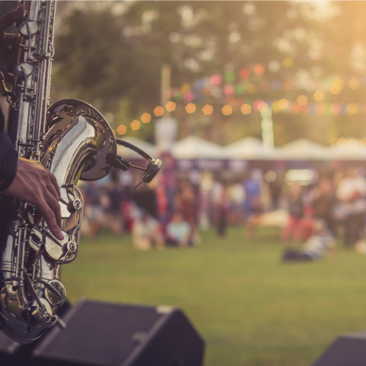 Concert Venue Mosquito Spraying - MosquitoNix.com